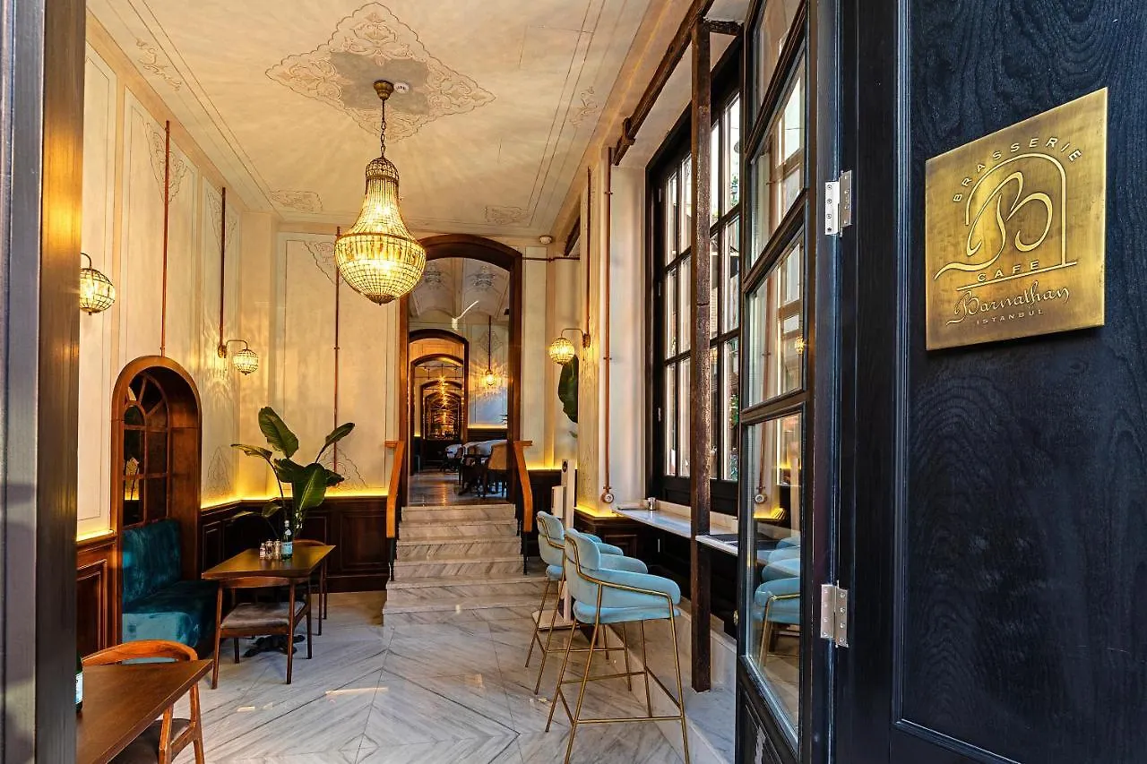 Meroddi Barnathan Hotel Istanbul 0*,  Turkey